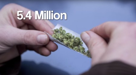 The United States of Marijuana