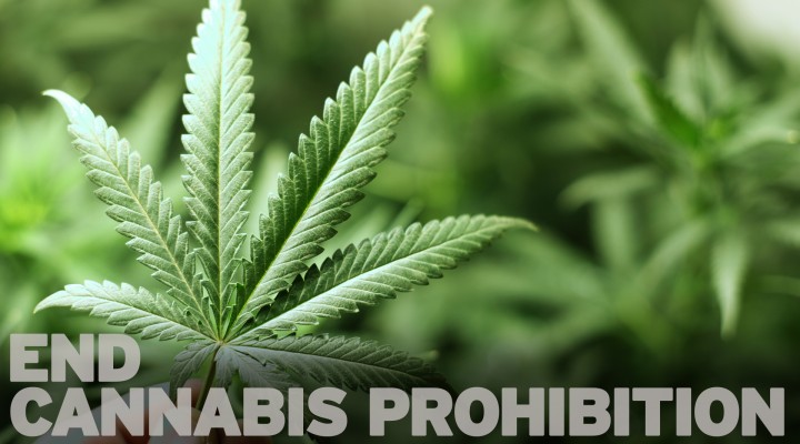 End of Cannabis Prohibition?