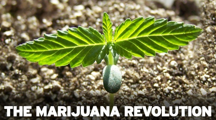 The Marijuana Revolution – Dr. Sanjay Gupta Reports