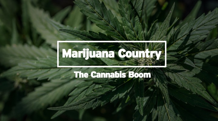Marijuana Country- The Cannabis Boom