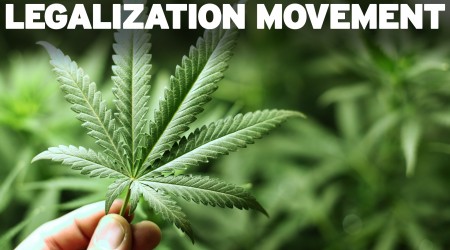 Epic setback in Marijuana  Legalization Movement