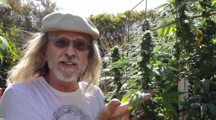 Jorge Cervantes: Humboldt Medical Marijuana (Part 1)