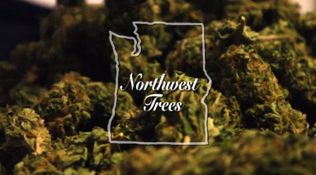 Northwest Trees | Marijuana Documentary