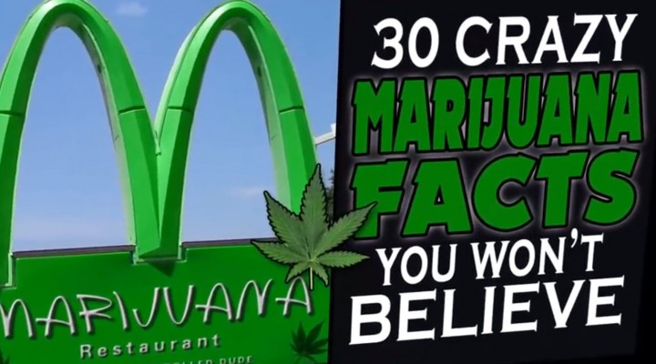 30 Crazy Marijuana Facts That will BLOW your MIND