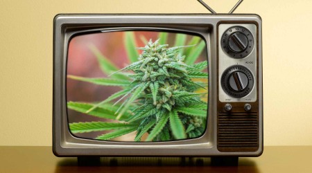 Marijuana Documentary | The Health, The Benefits, The Truth!