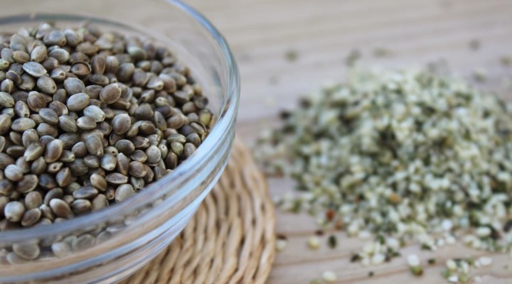 Hemp Seeds, A Source of Protein and Omega-3’s