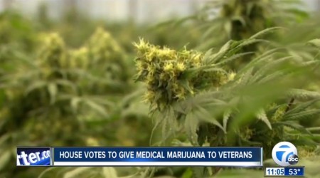 Congress approves VA medical marijuana treatment