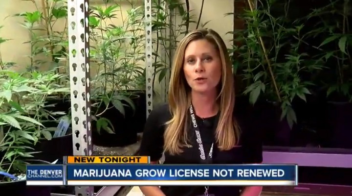 Marijuana Grow License Not Renewed