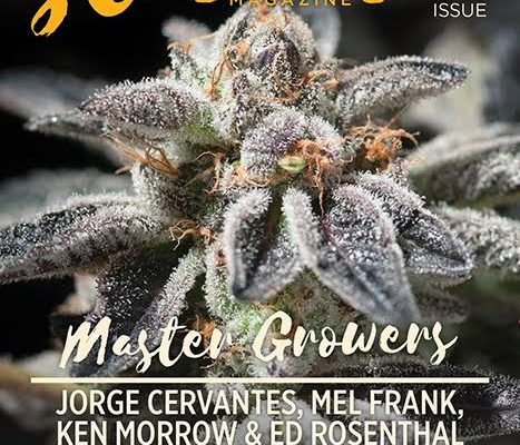 Puffin’ with Pauly and Stoner Magazine