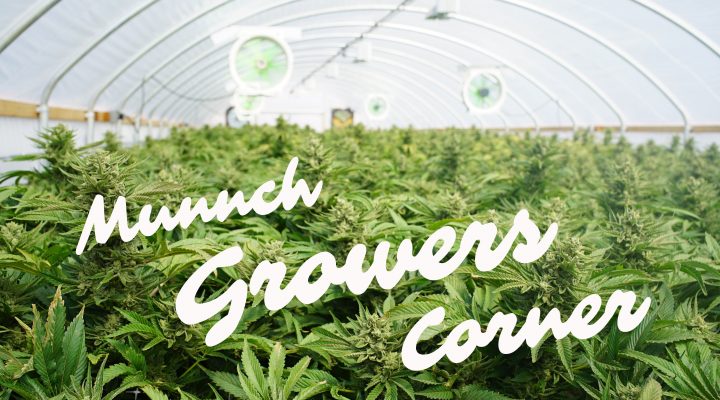 Today in our Growers Corner: Mutations!!