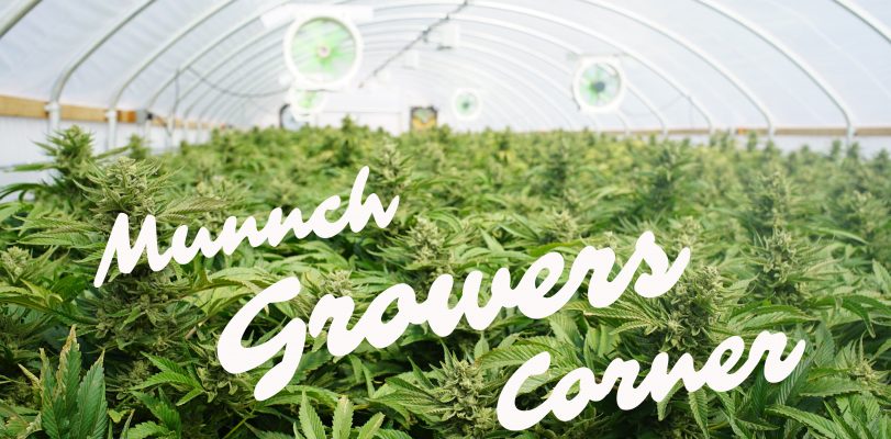 Today in our Growers Corner: Mutations!!